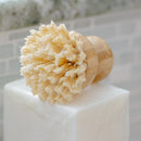 Compostable Dish Scrubber