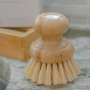 Compostable Dish Scrubber