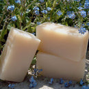 A rich, mild, moisturizing natural shampoo! For centuries, Mediterranean women have relied on olive oil to help maintain radiant hair. A gentle oil rich in oleic acid, olive oil easily penetrates and makes your hair shiny, silky, and lustrous.