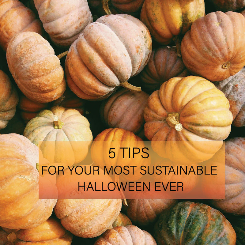 5 tips for a sustainable Halloween