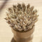 Compostable pot scrubber , has a sturdy Moso Bamboo handle, with stiff plant fiber bristles.
