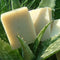 Organic Castile type soap bar loaded with aloe vera, prized for its anti-inflammatory and antibacterial properties.